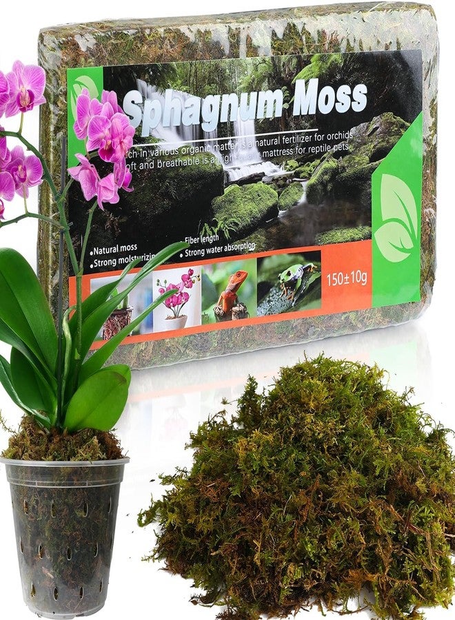 Doter Dried Forest Moss for Plants (5 qt / 1 Pack), Sphagnum Potting Moss for Various Plants, Including Orchids, Carnivorous Plants, Succulents, Garden Flowers, and Reptiles - Image 1