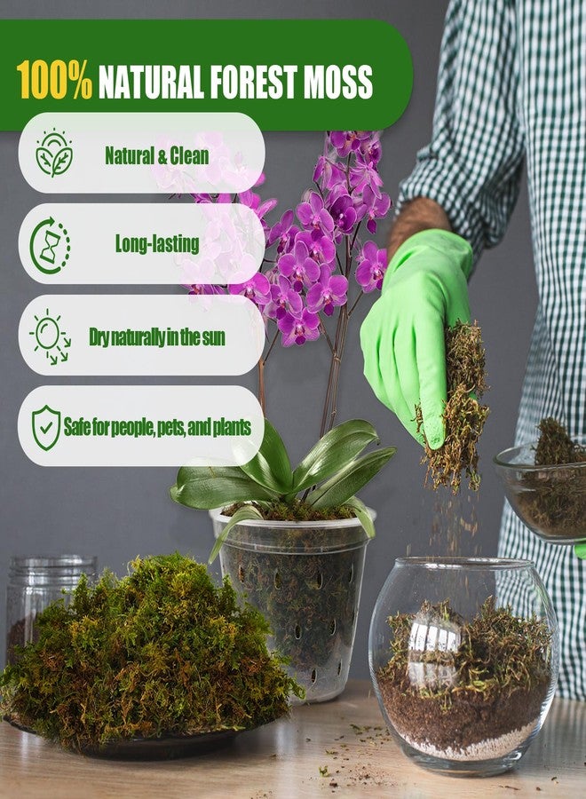 Doter Dried Forest Moss for Plants (5 qt / 1 Pack), Sphagnum Potting Moss for Various Plants, Including Orchids, Carnivorous Plants, Succulents, Garden Flowers, and Reptiles - Image 3