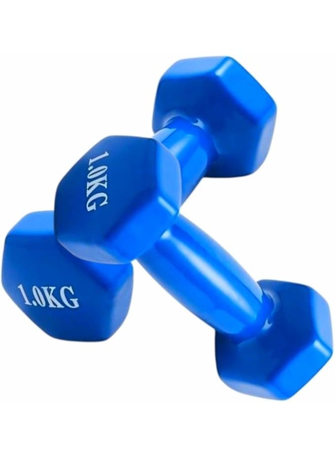 DUNISO 2 Pcs Dumbbells, Fitness Dumbbells, Weightlifting Dumbbells with Anti Slip Handles, Sturdy and Durable，Suitable For Fitness, Home Use, Exercise, Weightlifting, Yoga, 1KG Each，Blue - Image 1