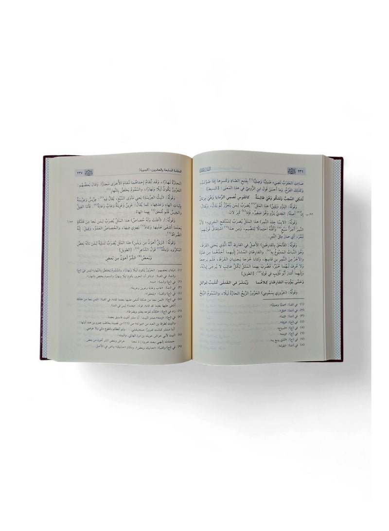 Al-Maqamat al-Hariri - Image 2