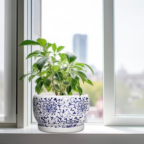 SQOWL Ceramic Pots for Plants - 10 Inch Ceramic Flower Pots with Drainage Hole and Saucer, Round Large Planter Indoor, Decorative Porcelain Planter Outdoor, Home Decor, Birthday Gifts, Blue and White - Image 4