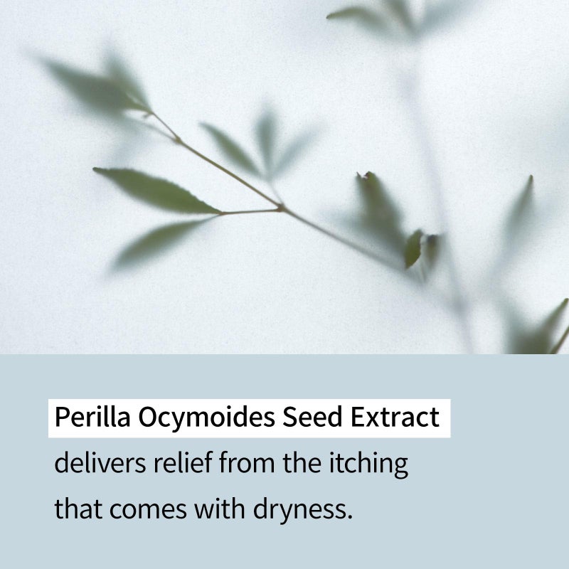 Illiyoon لوسيون إيلليوون سيراميد أتو 528 مل (17.85 أونصة) | لوسيون مرطب يومي لجميع أنواع البشرة | تأثير ترطيب عميق وتهدئة | العناية بالبشرة الكورية - Image 4