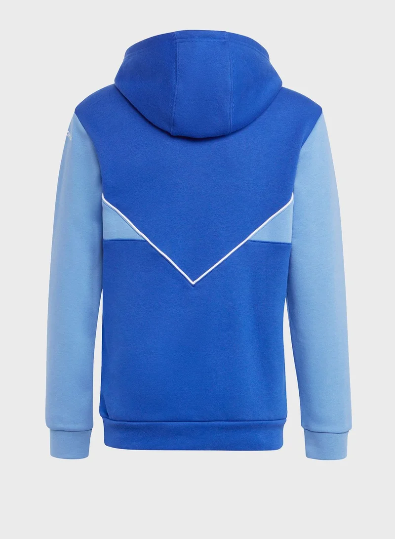 adidas Originals Youth Adicolor Hoodie