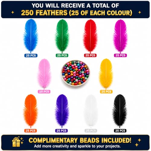 The Brown Box® Natural Dyed Feathers for Decoration & DIY Crafts with Colourful Beads | Feathers of Birds for Dream Catcher, Earrings, Cap Decoration & Art Projects | 10 Colors | 250 Pieces | 4–5 Inch - Image 2