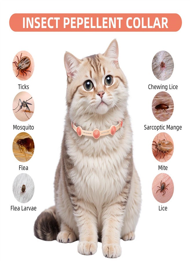 Zikra Flea Collar for Cat Kittens 32 Months Cat Flea and Tick Collar Protection 4 Pack Adjustable Flea Collar for Cats with Essential Oils Flea and Tick Prevention for Cats Collar - Image 3