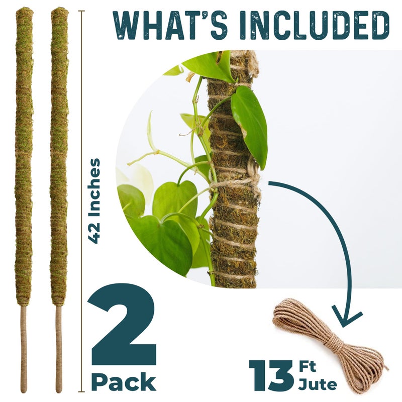 K-Brands 2 Pack 42'' Bendable Moss Pole Monstera Plant Support - Real Forest Moss For Climbing Indoor Plants - Stakes For Potted Climbers - Tall Sticks Indoor Trellis For Houseplants - Pot Accessories - Image 2
