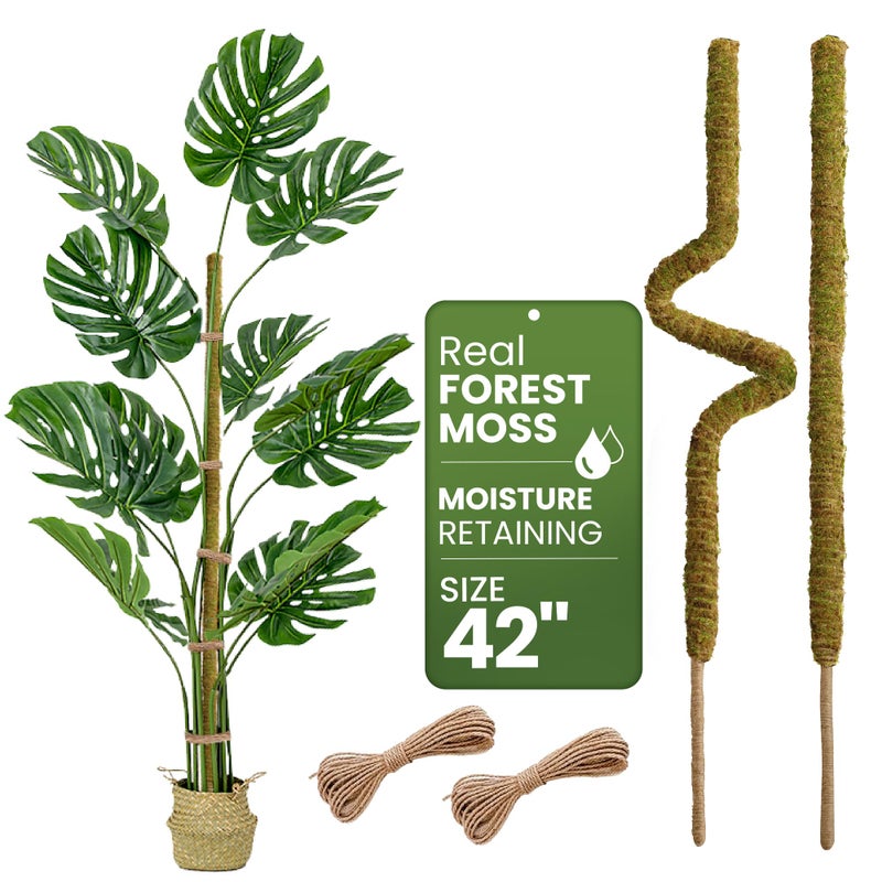 K-Brands 2 Pack 42'' Bendable Moss Pole Monstera Plant Support - Real Forest Moss For Climbing Indoor Plants - Stakes For Potted Climbers - Tall Sticks Indoor Trellis For Houseplants - Pot Accessories - Image 1