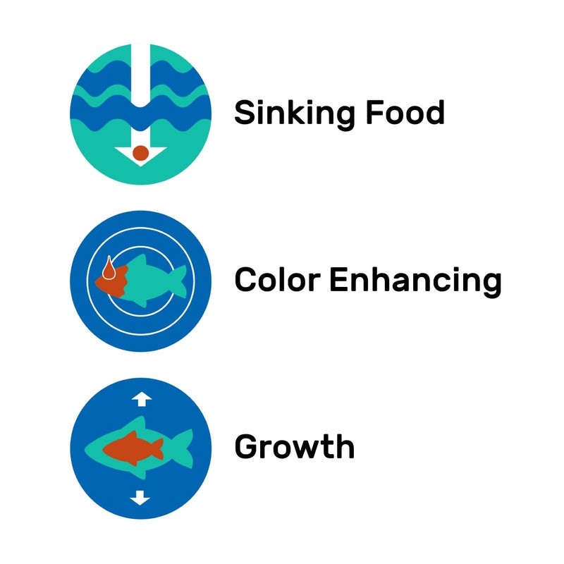 Hikari رقائق هاكاري الاستوائية الغارقة لسمك السلور، واللوش، وسمك القاع 3.88 أونصة - Image 5