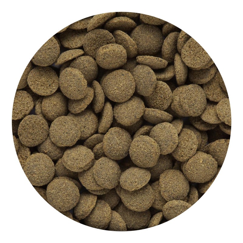 Hikari رقائق هاكاري الاستوائية الغارقة لسمك السلور، واللوش، وسمك القاع 3.88 أونصة - Image 2