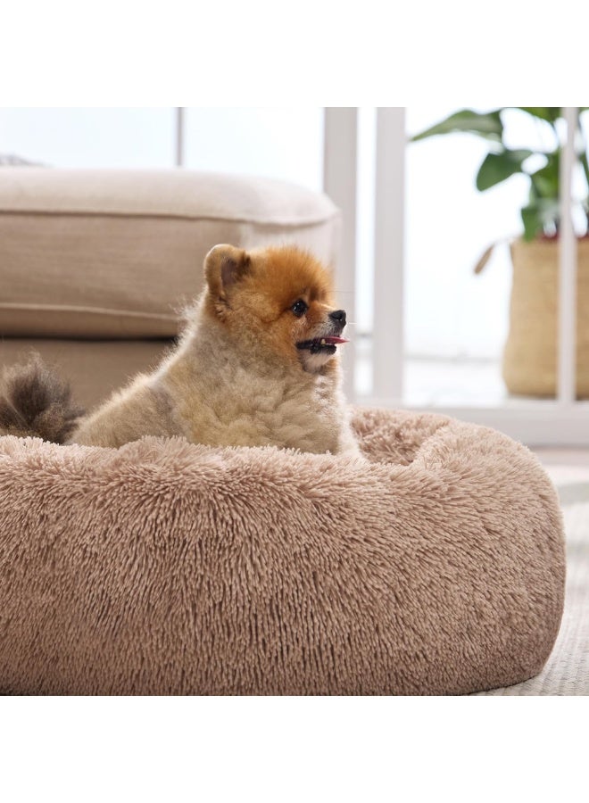 MAMATOONS Pet Bed 50cm Plush Round Calming Cat Bed Soft Fluffy Donut Shape Bed Non-Slip Bottom Washable for Cats and Small Dogs - Image 4
