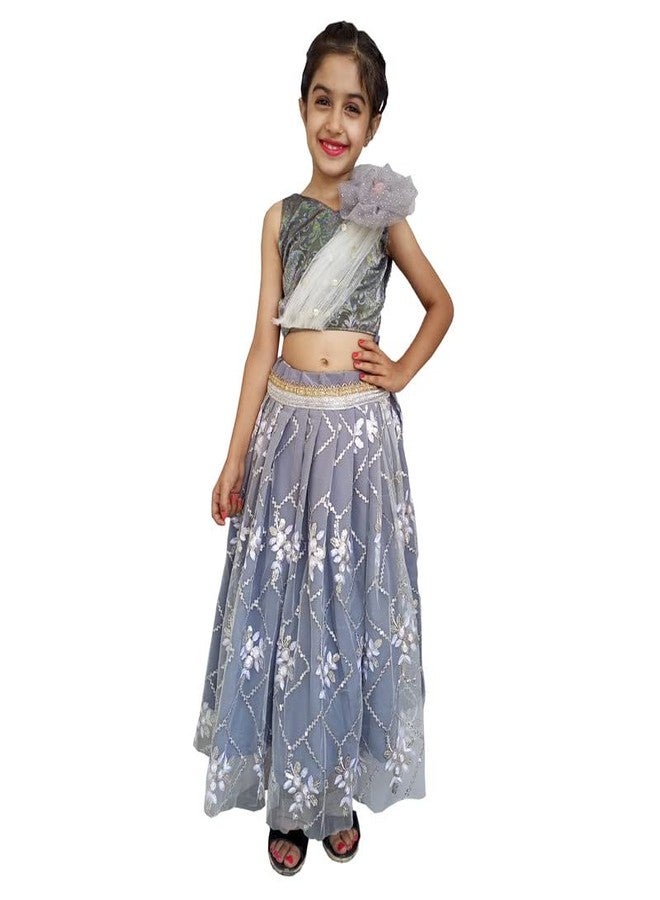 Aglare lehenga choli,net emdroydered lehenga choli, online lehenga choli, STITCHEDGre - Image 2