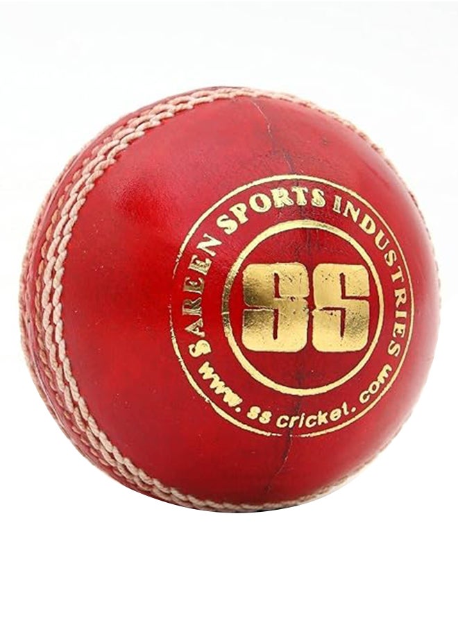 SS Gutsy Synthetic Cricket Ball (Red)| Water Proofed Leather Ball | Suitable for Practice Game | Tournament Game | Top Quality Cork  - Image 1