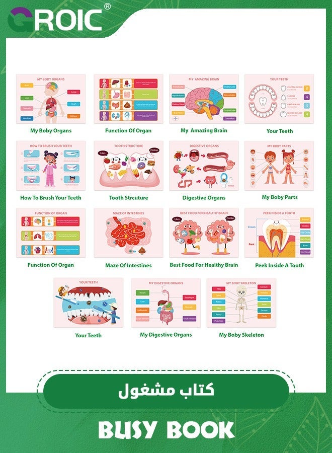 GROIC Montessori Busy Book for Kids, Quiet Book,Human Body Anatomy Toddlers, Preshool Kindergarten Learning Activities, Autism Sensory Toys,Sticker Books Kids,Educational Toys - Image 2
