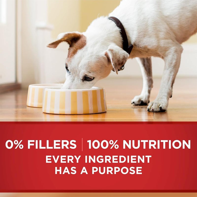 Purina ONE SmartBlend Classic Ground Wet Dog Food Chicken & Brown Rice Entrée - Image 4