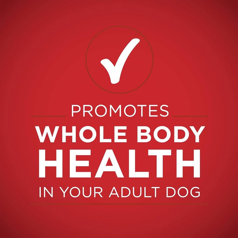 Purina ONE SmartBlend Classic Ground Wet Dog Food Chicken & Brown Rice Entrée - Image 5