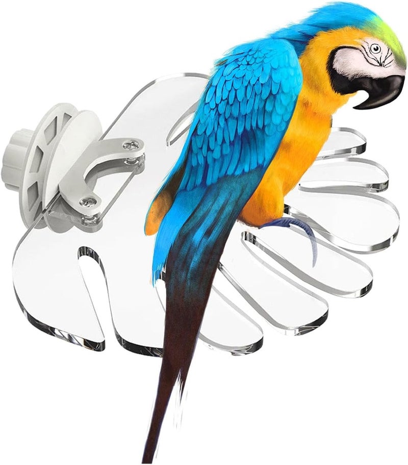 Parrot Perches Acrylic Pet Accessories Parrot Stand for Hamster Cup - Image 5