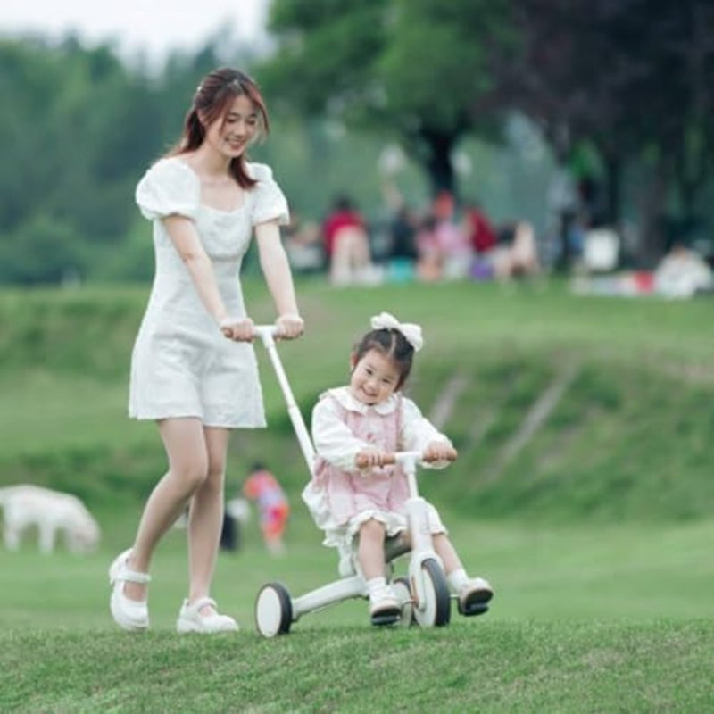 trike for ages 18M-5Y: aluminum frame, black-gray color, 4-in-1 convertible design with balance bike, tricycle, bike and stroller modes, lightweight 4.95kg, EVA wheels, supports up to 25kg - Image 2