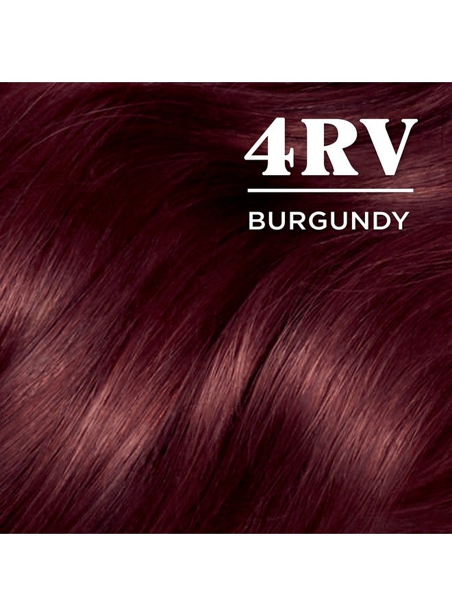 CLAIROL Nice'N Easy Permanent Hair Dye 4Rv Burgundy Hair Color Pack Of 1 - Image 3