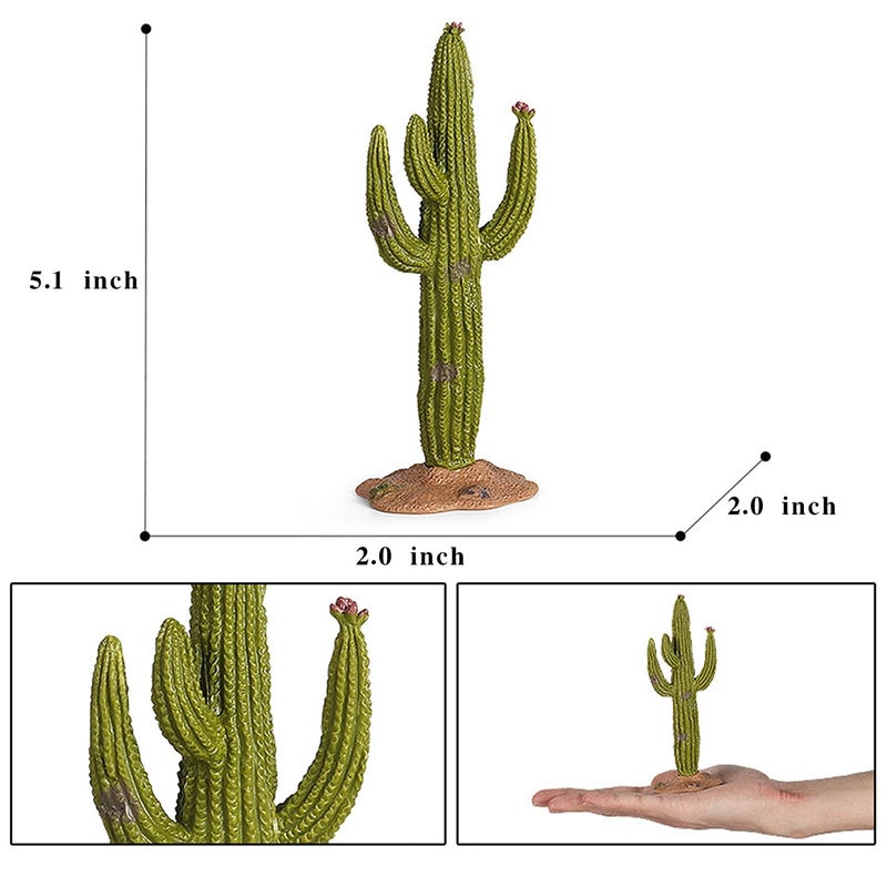 EOIVSH Desert Animal Figurines Set with Model Cactus - Artificial Greenery Plant Fake Cacti - Desert Diorama Project - Great for Sand Table Landscape Scene Accessories Decoration - Image 5
