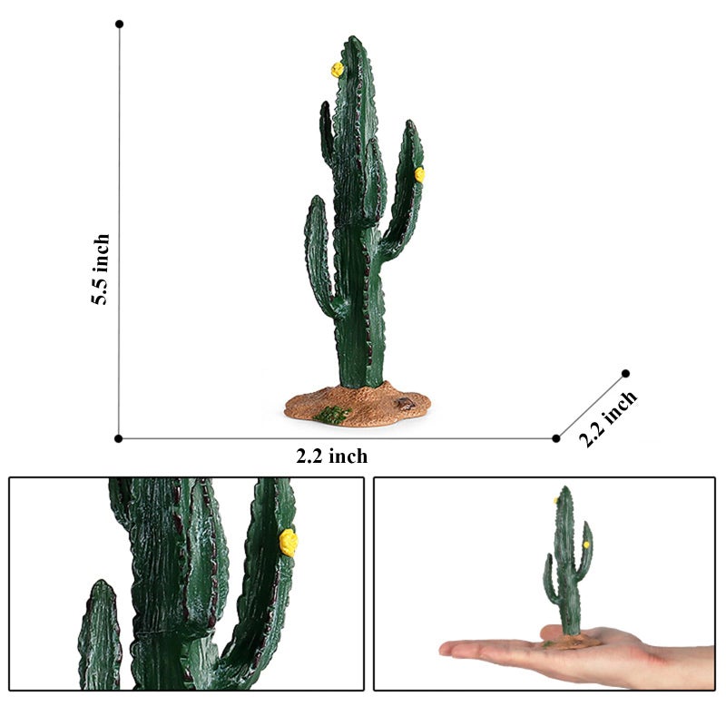 EOIVSH Desert Animal Figurines Set with Model Cactus - Artificial Greenery Plant Fake Cacti - Desert Diorama Project - Great for Sand Table Landscape Scene Accessories Decoration - Image 4