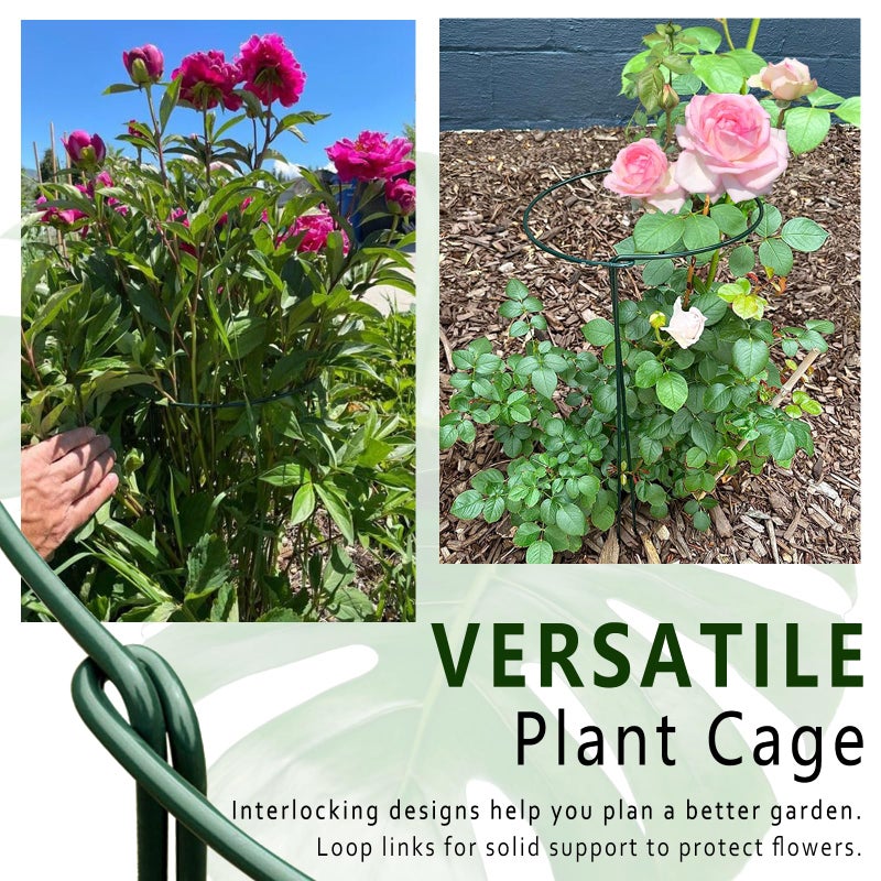 Soupiar 6 Pack Threaded Lock Metal Plant Support Stakes - 25" H Tall Peony Cage, Reusable Detachable Garden Ring for Hydrangea/Rose Bush/Potted Flowers, Indoor Outdoor Heavy Duty (10" W) - Image 5