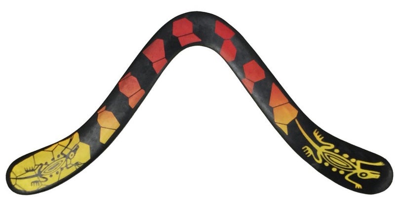 Colorado Boomerangs Iguana Boomerangs Composite Boomerangs for Teenagers and Adults Carbon FiberPlastic Composite Competition Boomerangs - Image 3