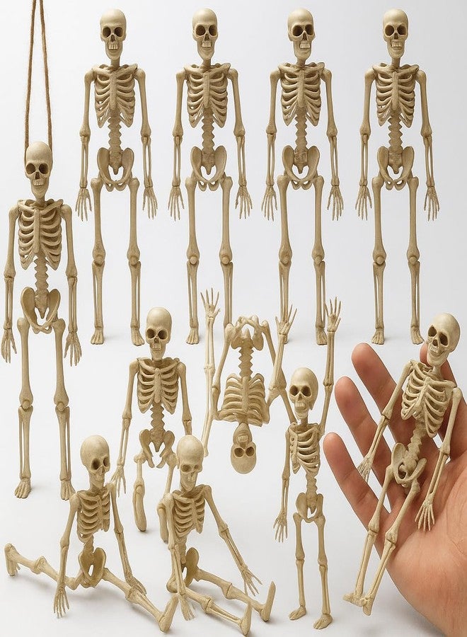 كاتشون، عبوة ضخمة من 12 مجسم هيكل عظمي للهالوين - 6 بوصات | مجسم هيكل عظمي صغير لتزيين المنزل في الهالوين | هياكل عظمية صغيرة لتزيين حفلات الهالوين المخيفة | ديكور هيكل عظمي لحفلة يوم بو - Image 1