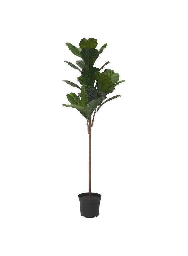 Zaboon Artificial Potted Plant, In/Outdoor Fiddle-Leaf Fig, 19 Cm  - Image 1