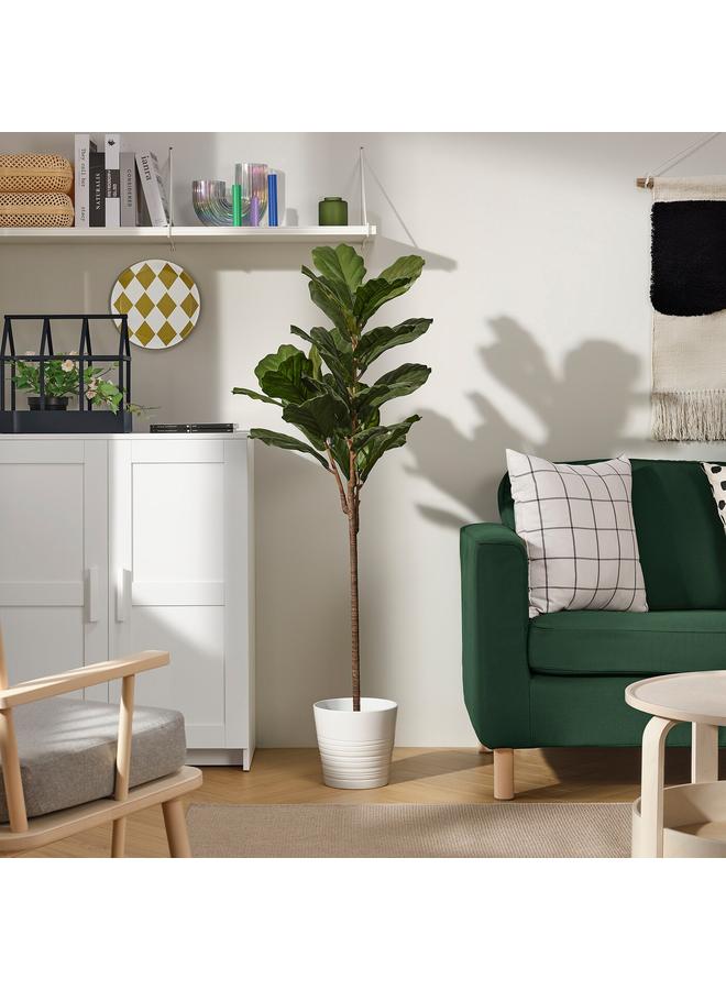 Zaboon Artificial Potted Plant, In/Outdoor Fiddle-Leaf Fig, 19 Cm  - Image 3