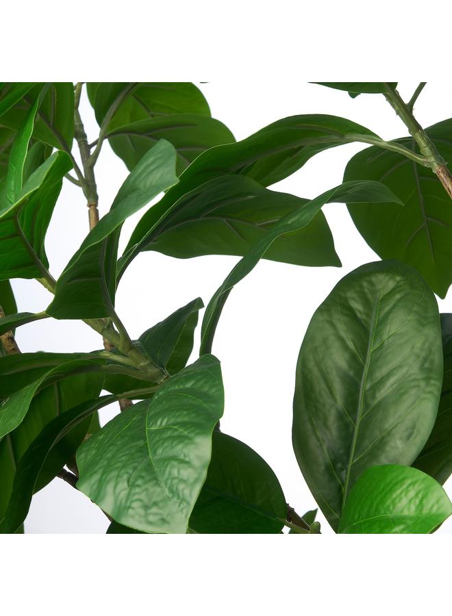 Zaboon Artificial Potted Plant, In/Outdoor Fiddle-Leaf Fig, 19 Cm  - Image 5
