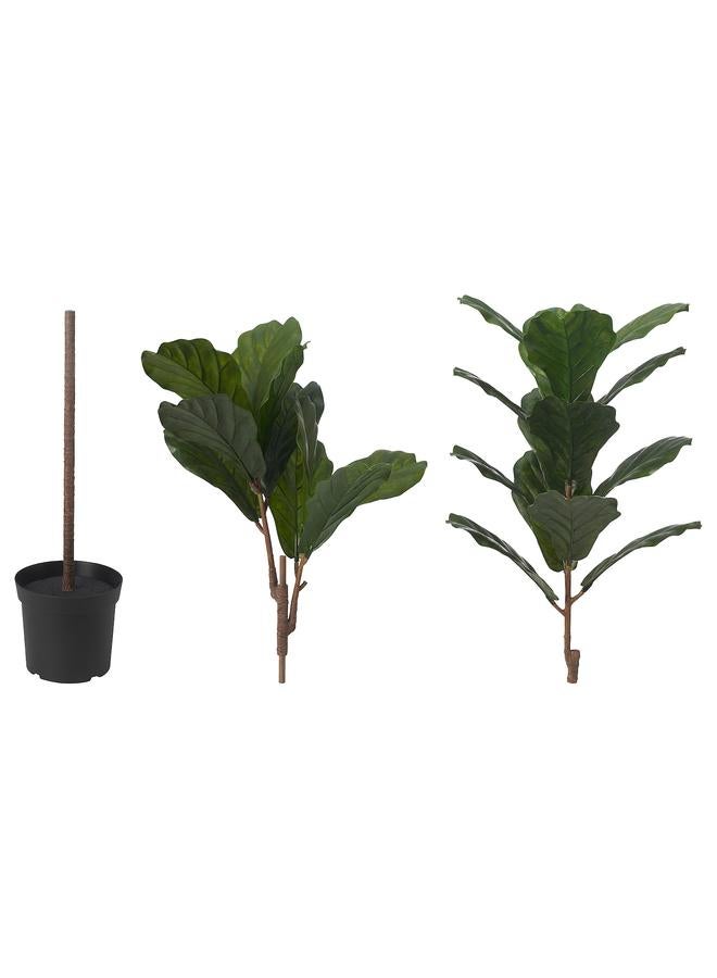 Zaboon Artificial Potted Plant, In/Outdoor Fiddle-Leaf Fig, 19 Cm  - Image 2