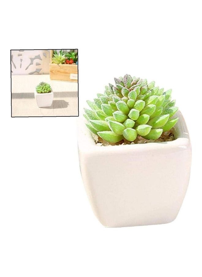 NIBEMINENT Artificial Succulent Potted Plant Green/White  - Image 3