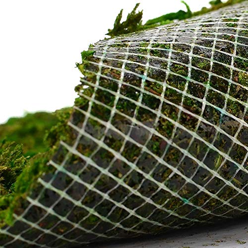 BYHER Dried Moss Mat for Wedding Birthday Party Fairy Garden Decorations, Dark Green (Green - 14" X 9") - Image 2