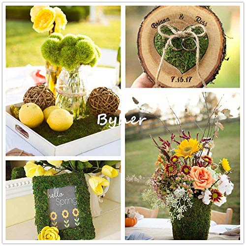 BYHER Dried Moss Mat for Wedding Birthday Party Fairy Garden Decorations, Dark Green (Green - 14" X 9") - Image 4