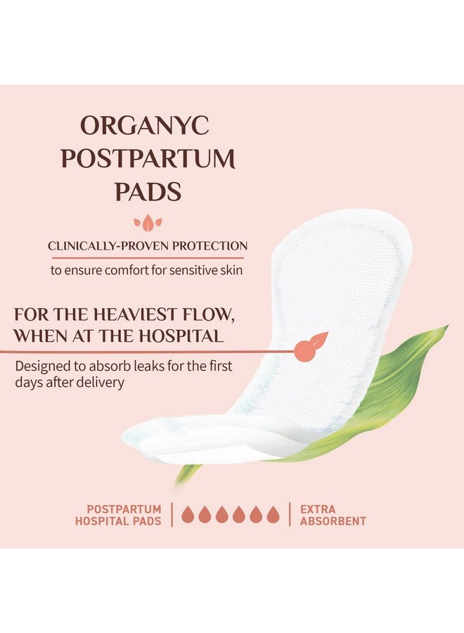 Organyc Hospital Postpartum Pads, 100% Certified Organic Cotton Pads for Women, Large Pads for First Days After Delivery, 12 Counts - Image 2