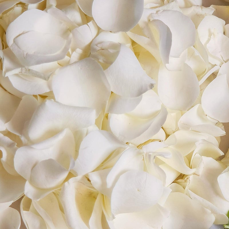 Koceko Dried Real White Rose Petals, Freeze Preserved Flower Petals 1.75oz for Valentine's Day Gifts Wedding Party Decor, Flower Girl, Dinner table Centerpieces, Bridal Shower, Flower Confetti 50g - Image 1
