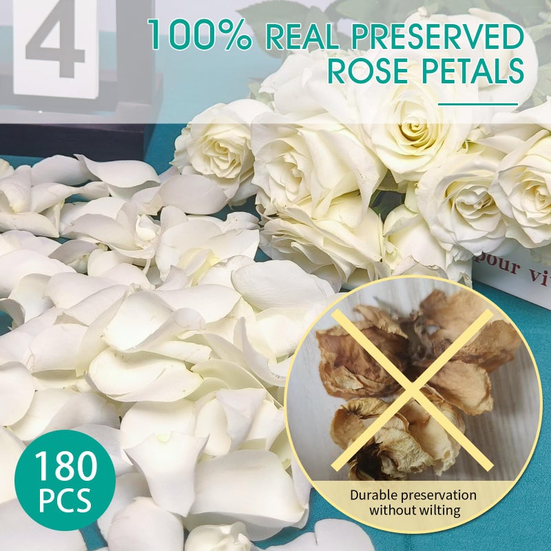 Koceko Dried Real White Rose Petals, Freeze Preserved Flower Petals 1.75oz for Valentine's Day Gifts Wedding Party Decor, Flower Girl, Dinner table Centerpieces, Bridal Shower, Flower Confetti 50g - Image 2