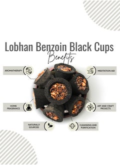 Benzoin Incense Loban Lobhan | Benzoin Resin Dhoop Dry - pzsku/ZE2998CF69AE0A0207D3BZ/45/_/1712122368/b815afdb-6f90-4503-b59b-aa41d88ea64d