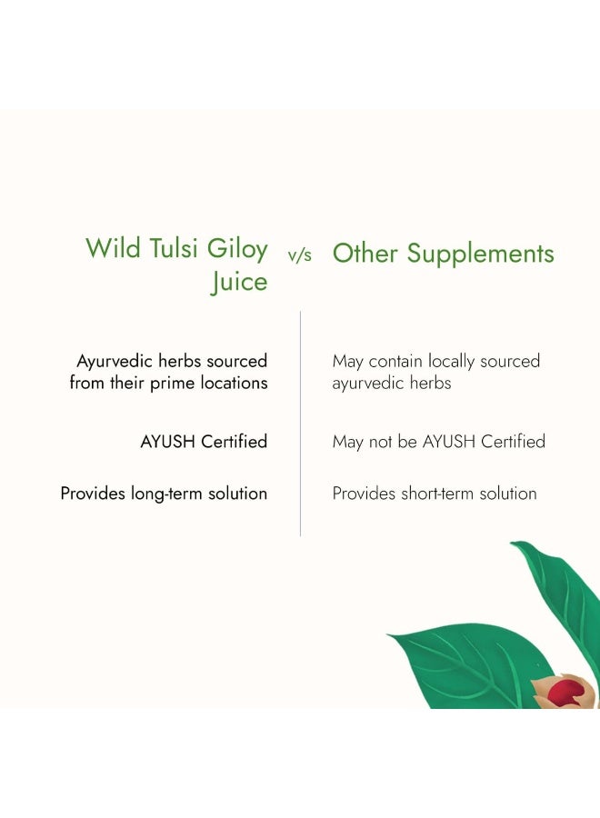 Kapiva Wild Tulsi Giloy Juice 1L | Ayurvedic Juice from Fresh Tulsi & Giloy Plant | Immune & Daily Wellness Support - Image 2