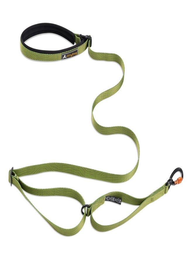 OllyDog Flagstaff Adjustable Leash, Extendable Dog Leash with Carabiner, Hand – Held or Waist – Worn Lead, Convenient for Running, Biking and Hiking (Cactus Woodgrain) - Image 1