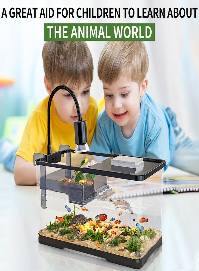 tuhaoking (Tank + Light + Filter Balls) Turtle Tank Kit, Turtle Tank Starter Kit,Bottom Drainage, Multi-Function Areas for Turtles, Crabs,Fishes, Amphibians,Reptiles. (15.75 x 8.64 x 8.64 Inch) - Image 5