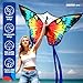 SGftre Butterfly Kites for Kids and AdultsExtremely Easy to Fly for BeginnersSingle Line String with Tail for Beach Flying Kites for Outdoor Trip Park Family GameFlower Splendour Butterfly - Image 4