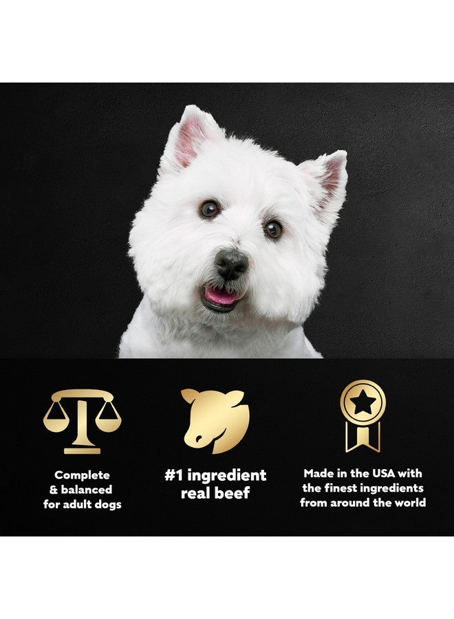 CESAR Adult Soft Wet Dog Food Filets in Gravy, New York Strip Flavor, 3.5 oz. Tray - Image 5