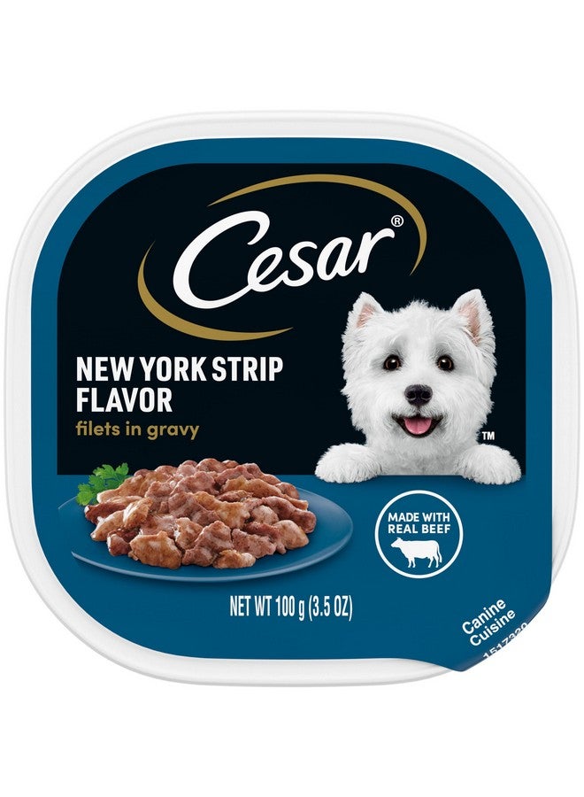 CESAR Adult Soft Wet Dog Food Filets in Gravy, New York Strip Flavor, 3.5 oz. Tray - Image 1