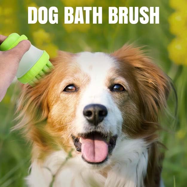 GLAN Dog Bath Brush Soft Silicone Bristles Pet Grooming/Bathing Massage Brushes Dog and Cat Accessories Multicolour Pack of 1 - Image 5