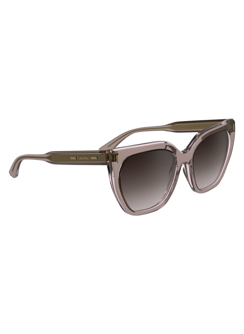 CALVIN KLEIN - FULL RIM ACETATE ACETATE CALVIN KLEIN SUN CK24535S 5517 (272) NUDE - Image 1