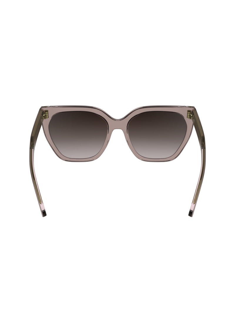 CALVIN KLEIN - FULL RIM ACETATE ACETATE CALVIN KLEIN SUN CK24535S 5517 (272) NUDE - Image 1