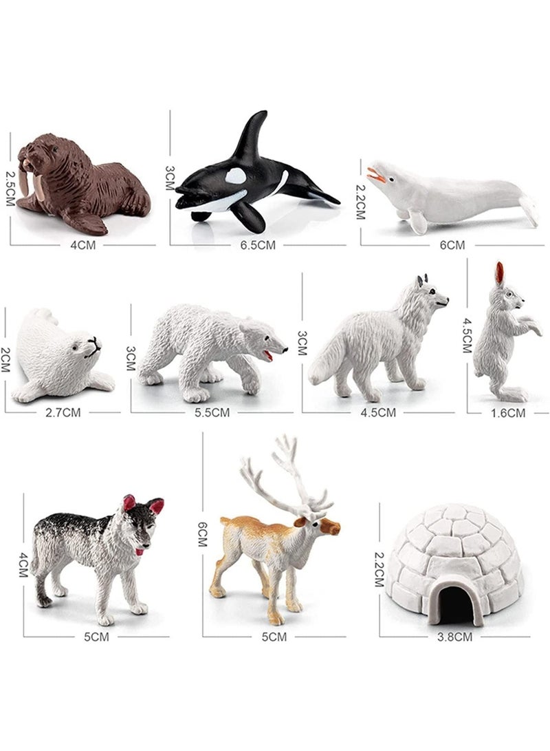 ChicAbode 10 Pcs Polar Animals Figurines, Arctic Animal Figurines Set, Realistic Animal Models, Arctic Circle Ocean Sea Animal Figurines Playset, Improving Children's Concentration, for Kids, Educational - Image 2