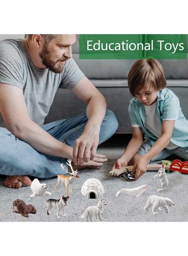 ChicAbode 10 Pcs Polar Animals Figurines, Arctic Animal Figurines Set, Realistic Animal Models, Arctic Circle Ocean Sea Animal Figurines Playset, Improving Children's Concentration, for Kids, Educational - Image 4