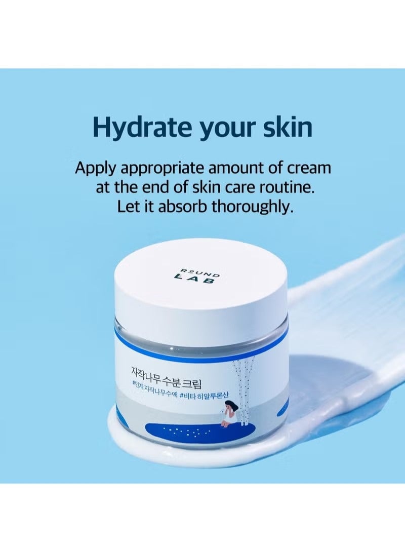 راوند لاب كريم ترطيب عصير البرتش 2.7 فلتر أوز ، 48 ساعة ترطيب الوجه العميق مع عصير البرتش وحمض فيتا الهيالورونيك للبشرة المعرضة للحب الشباب ، يقلل من السبن ، الزيت ، الرؤوس السوداء ، العناية بالبشرة الكورية - Image 2